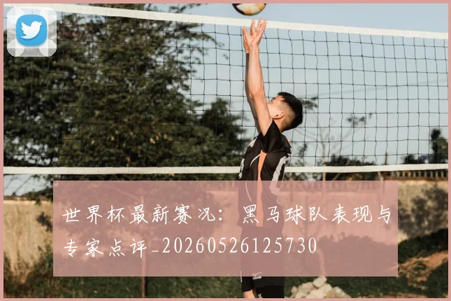 世界杯最新赛况:黑马球队表现与专家点评_20260526125730