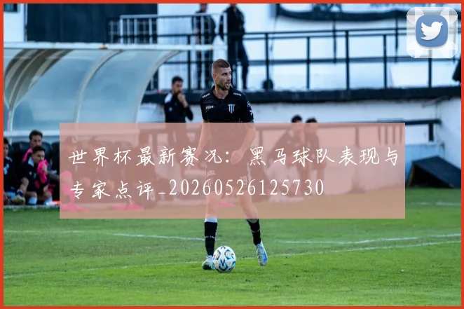 世界杯最新赛况:黑马球队表现与专家点评_20260526125730